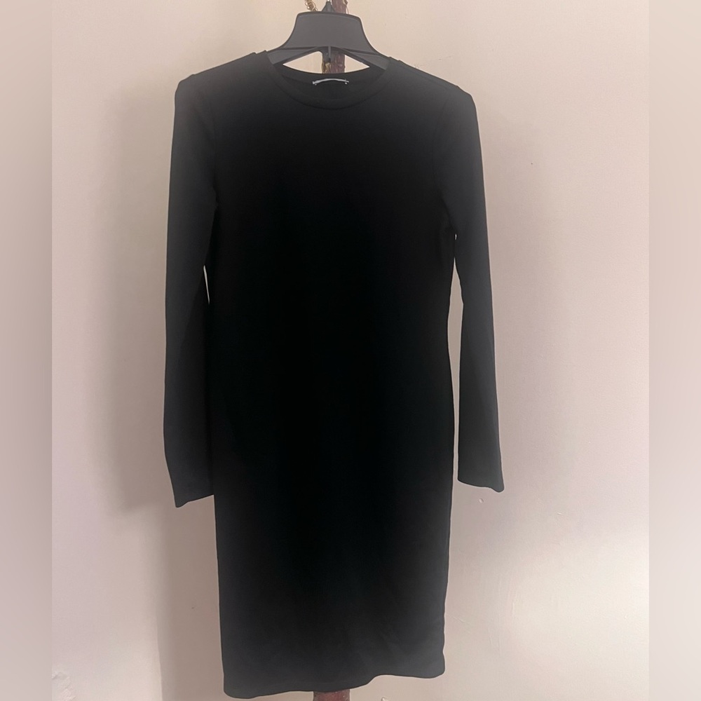 Zara Long sleeve dress